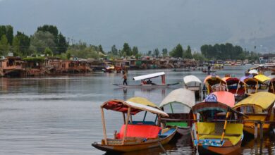 srinagar, india, kashmir-3609032.jpg